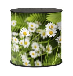 Counter Professional Original M Pult - Černý