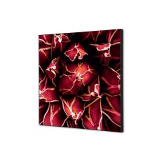 Textilní nástěnná dekorace SADA 40 x 40 Kaktus červený I821