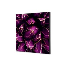 Textilní nástěnná dekorace SADA 40 x 40 Kaktus fialový I822