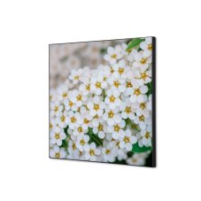 Textilní nástěnná dekorace SADA 40 x 40 Bílý květ tavolník I3