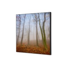 Textilní nástěnná dekorace SADA 40 x 40 Podzimní mlha I823