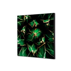 Textilní nástěnná dekorace SADA 40 x 40 Kaktus zelený I820