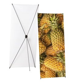 X-Banner Budget 80 x 200 cm