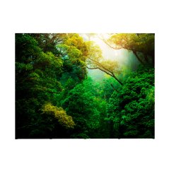 Pop-Up Magnetic rovný s měkkým vozíkem 4 x 3