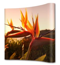 Pop-Up Magnetic zakřivený s měkkým vozíkem 5 x 3