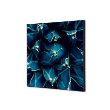 Textilní nástěnná dekorace SADA 40 x 40 Kaktus modrý I819