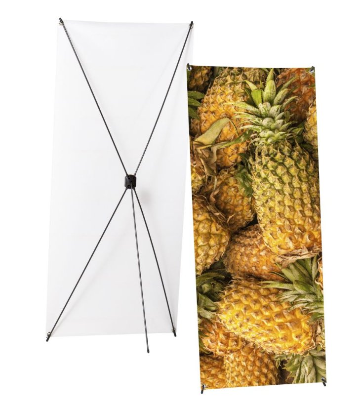 X-Banner Budget 80 x 180 cm